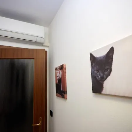 Elegance And Comfort A Due Passi Da Centro * Sacile